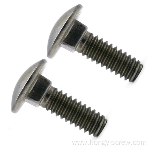 Round Head Square Neck SS Carriage Bolt